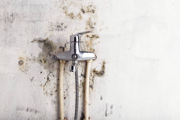 Mold Removal Process in Lutcher, LA