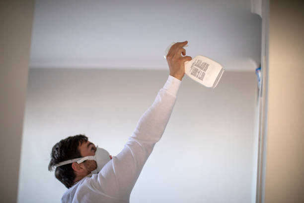 Best Best Mold Removal Companies  in Lutcher, LA