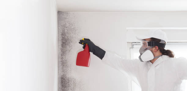Best Crawl Space Mold Removal  in Lutcher, LA