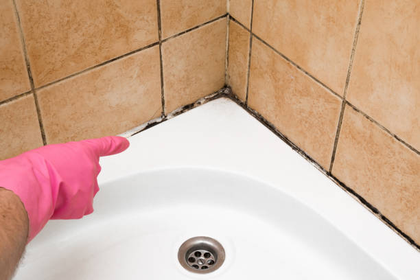 Best Residential Mold Removal  in Lutcher, LA